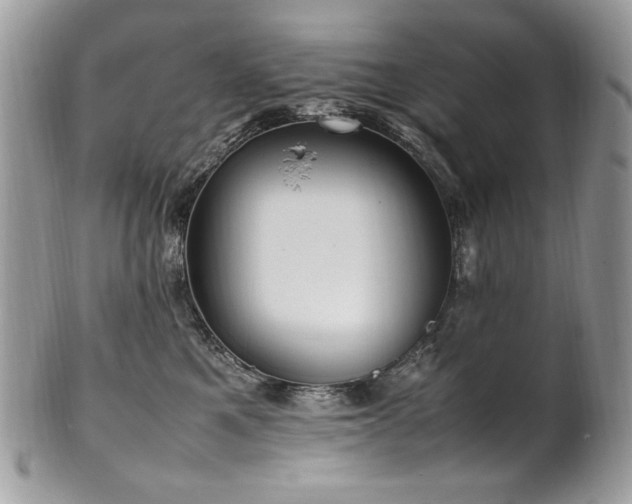 X0000102250521200807251325