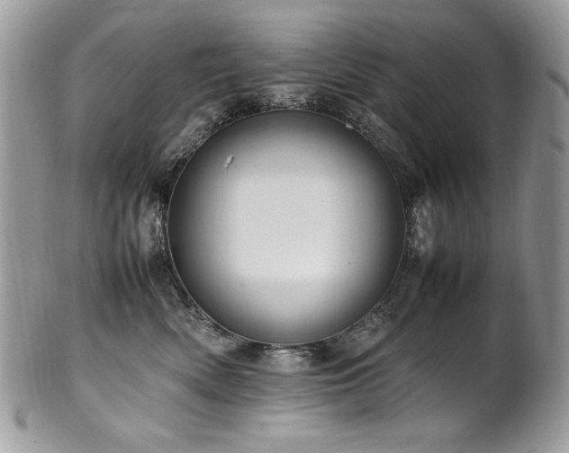 X0000102250522200807251325