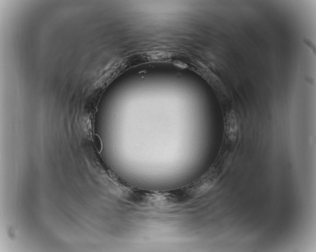 X0000102250523200807251325