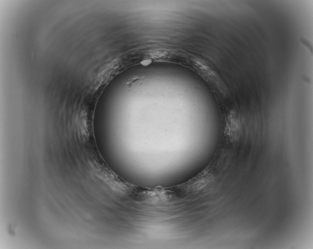 X0000102250524200807251325