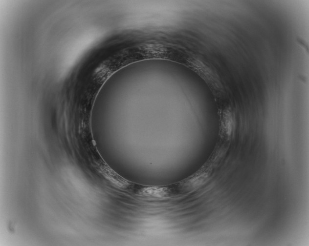 X0000102250526200807251325