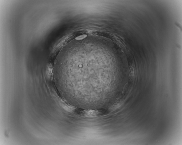 X0000102250527200807251325