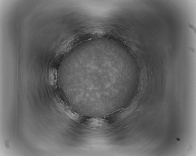 X0000102250528200807251325