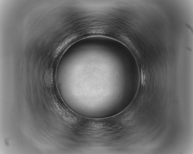 X0000102250531200807251324