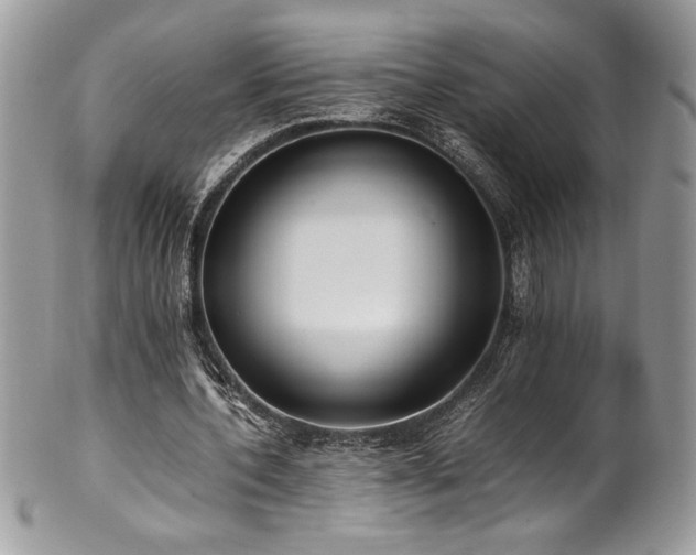 X0000102250532200807251324