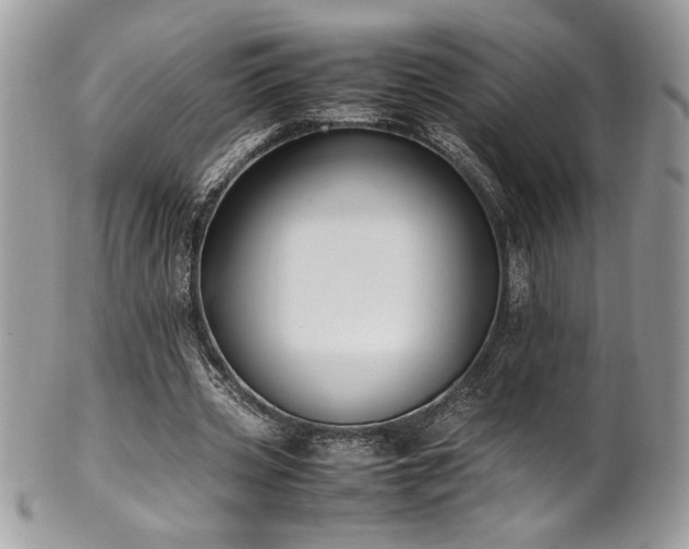 X0000102250533200807251324