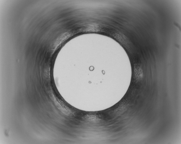 X0000102250534200807251324