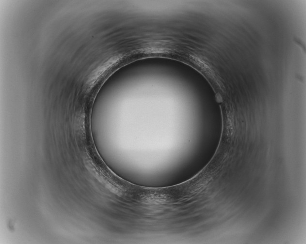 X0000102250535200807251324