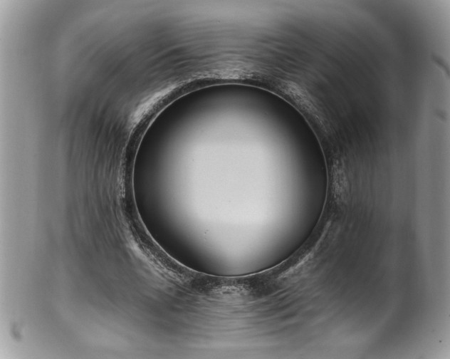 X0000102250536200807251324