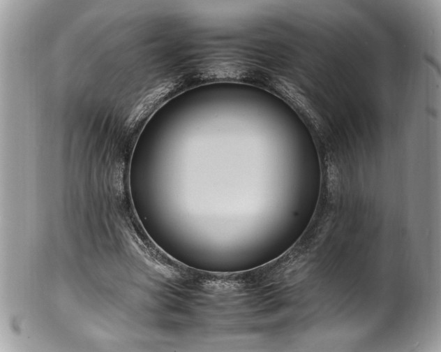 X0000102250537200807251324