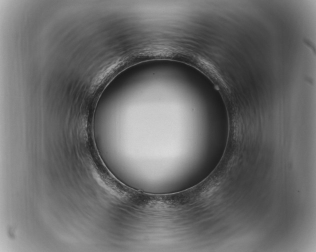 X0000102250538200807251324