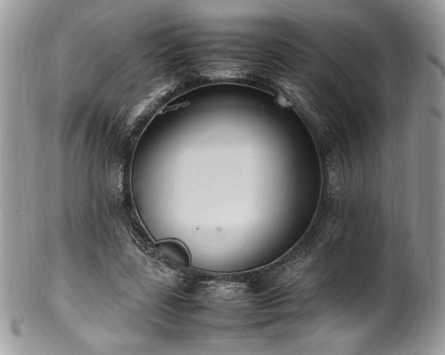X0000102250539200807251324