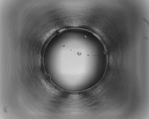 X0000102250540200807251324