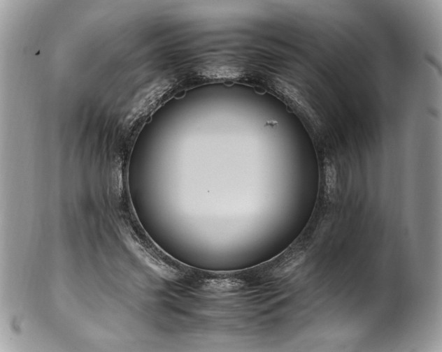X0000102250541200807251324