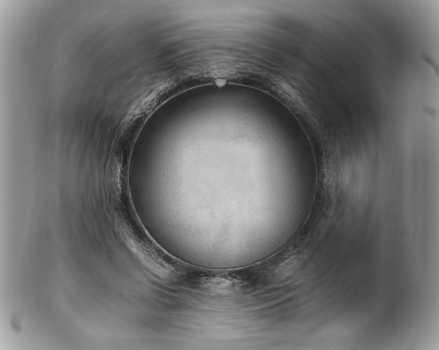 X0000102250542200807251324