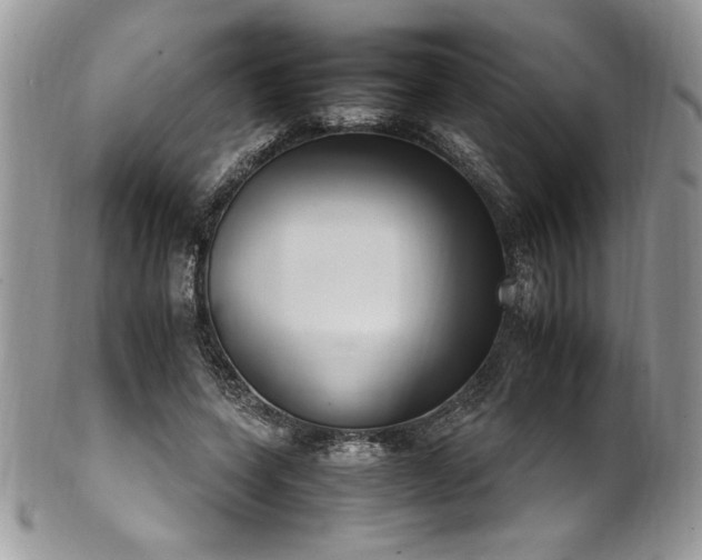 X0000102250543200807251324