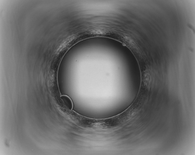 X0000102250544200807251324