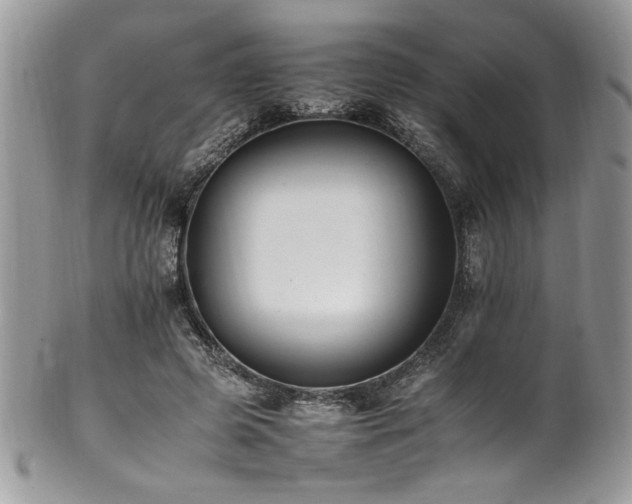 X0000102250545200807251324