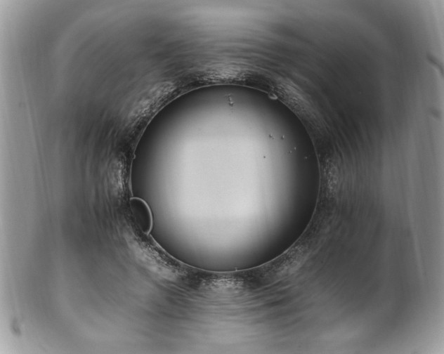 X0000102250546200807251324