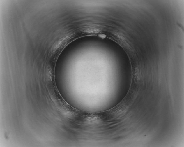 X0000102250547200807251324