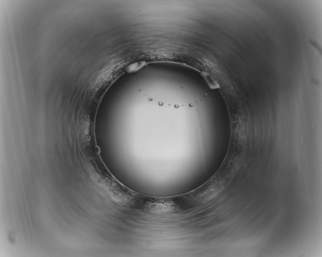 X0000102250548200807251324