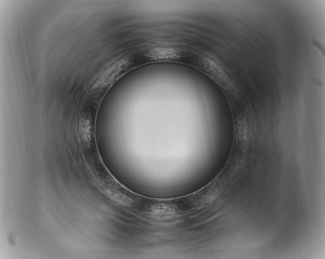 X0000102250549200807251324
