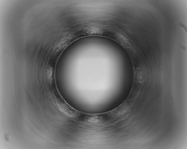 X0000102250550200807251324
