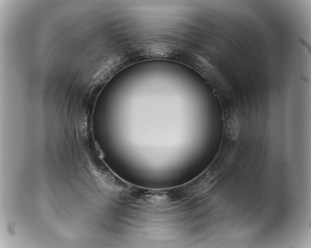 X0000102250552200807251324