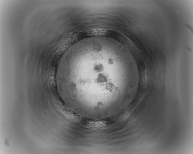 X0000102250553200807251324