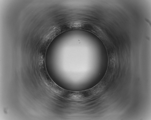 X0000102250555200807251324