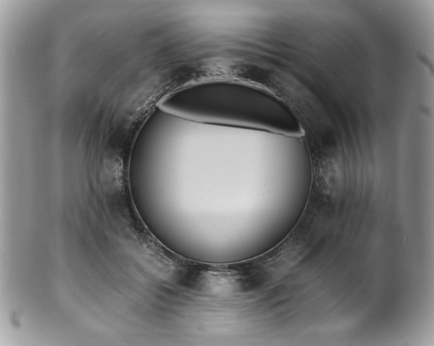 X0000102250556200807251324