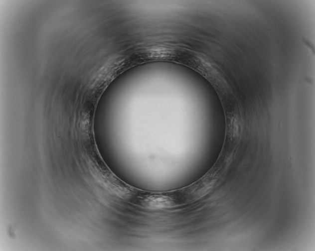 X0000102250557200807251324