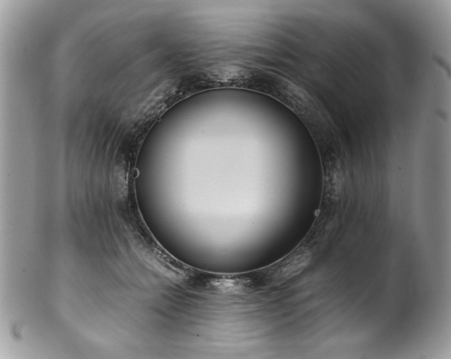 X0000102250558200807251324