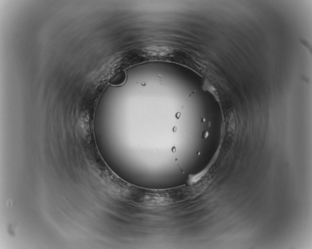 X0000102250559200807251324