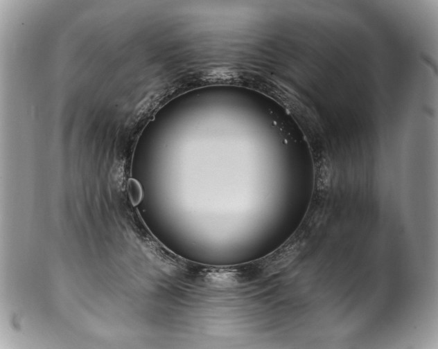 X0000102250560200807251324