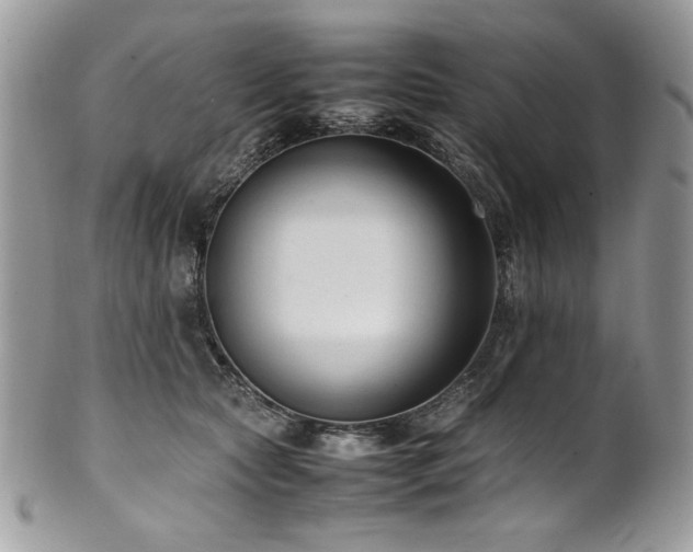 X0000102250561200807251324