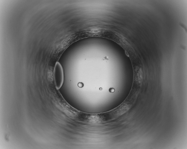 X0000102250562200807251324