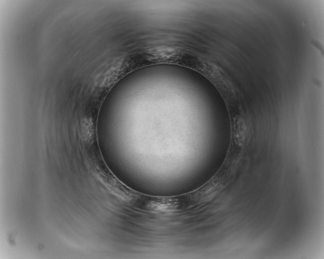 X0000102250563200807251324