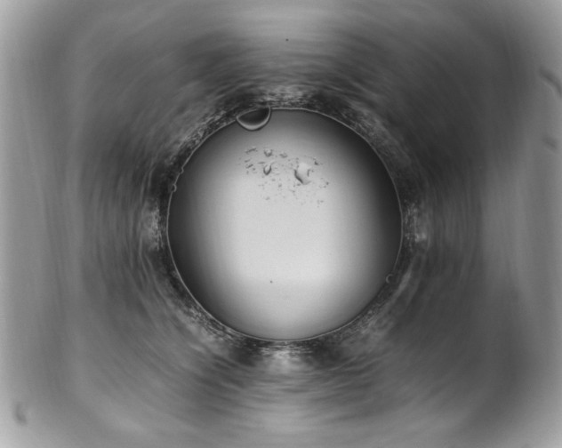 X0000102250564200807251324