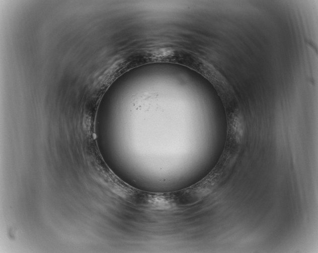 X0000102250565200807251324