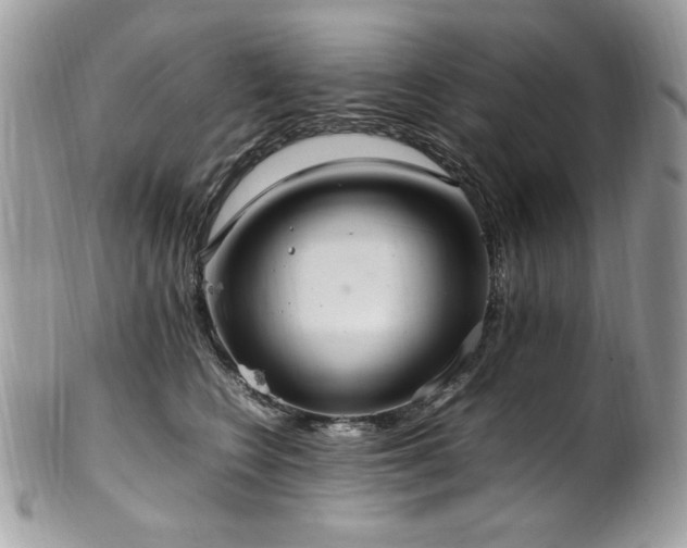 X0000102250566200807251324