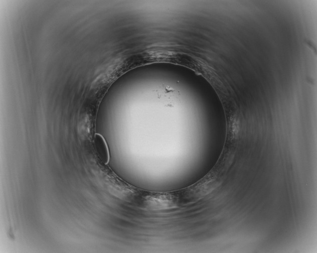 X0000102250567200807251324