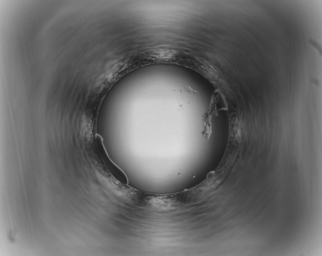 X0000102250568200807251324