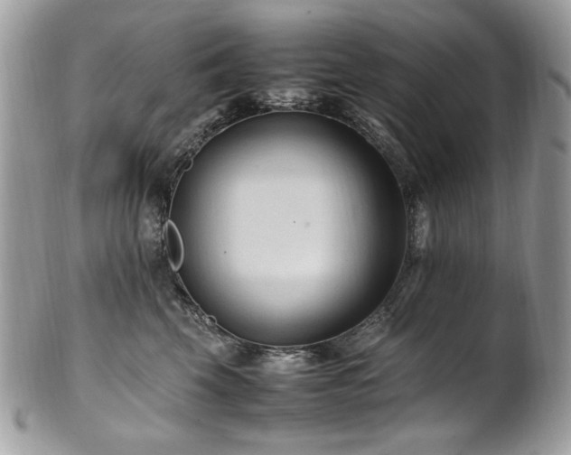 X0000102250569200807251324