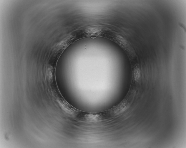 X0000102250570200807251325