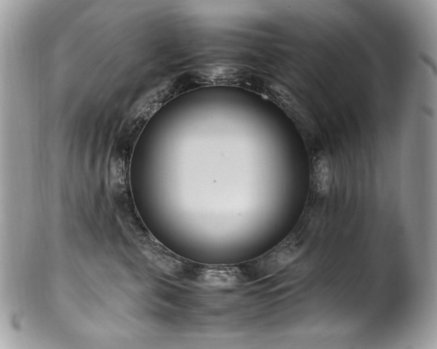 X0000102250571200807251325