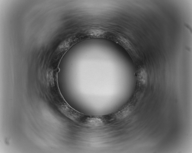 X0000102250572200807251325