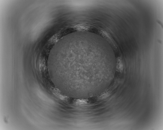 X0000102250573200807251325