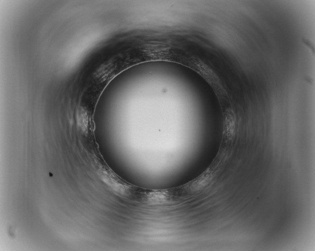 X0000102250574200807251325