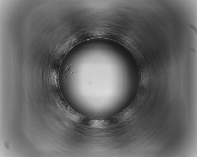 X0000102250575200807251325